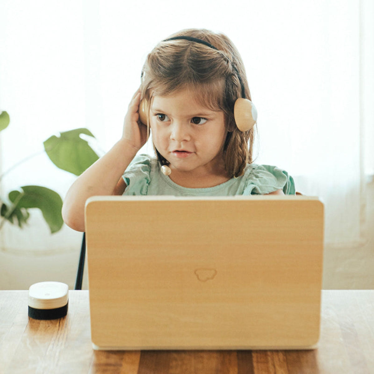 Wooden Unplugged Laptop