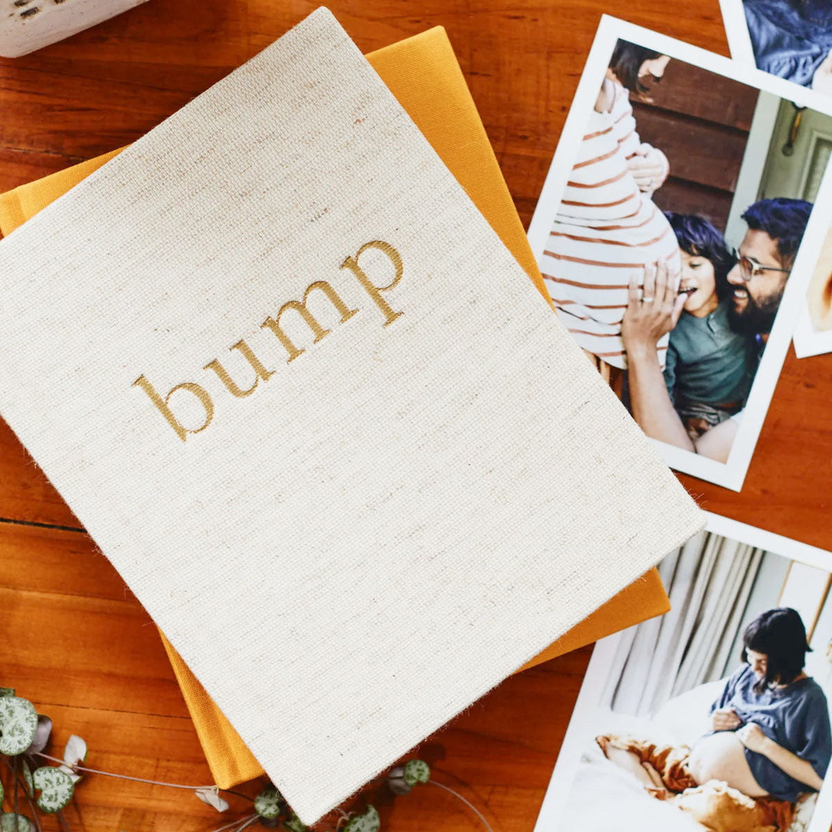 Bump, A Pregnancy Story