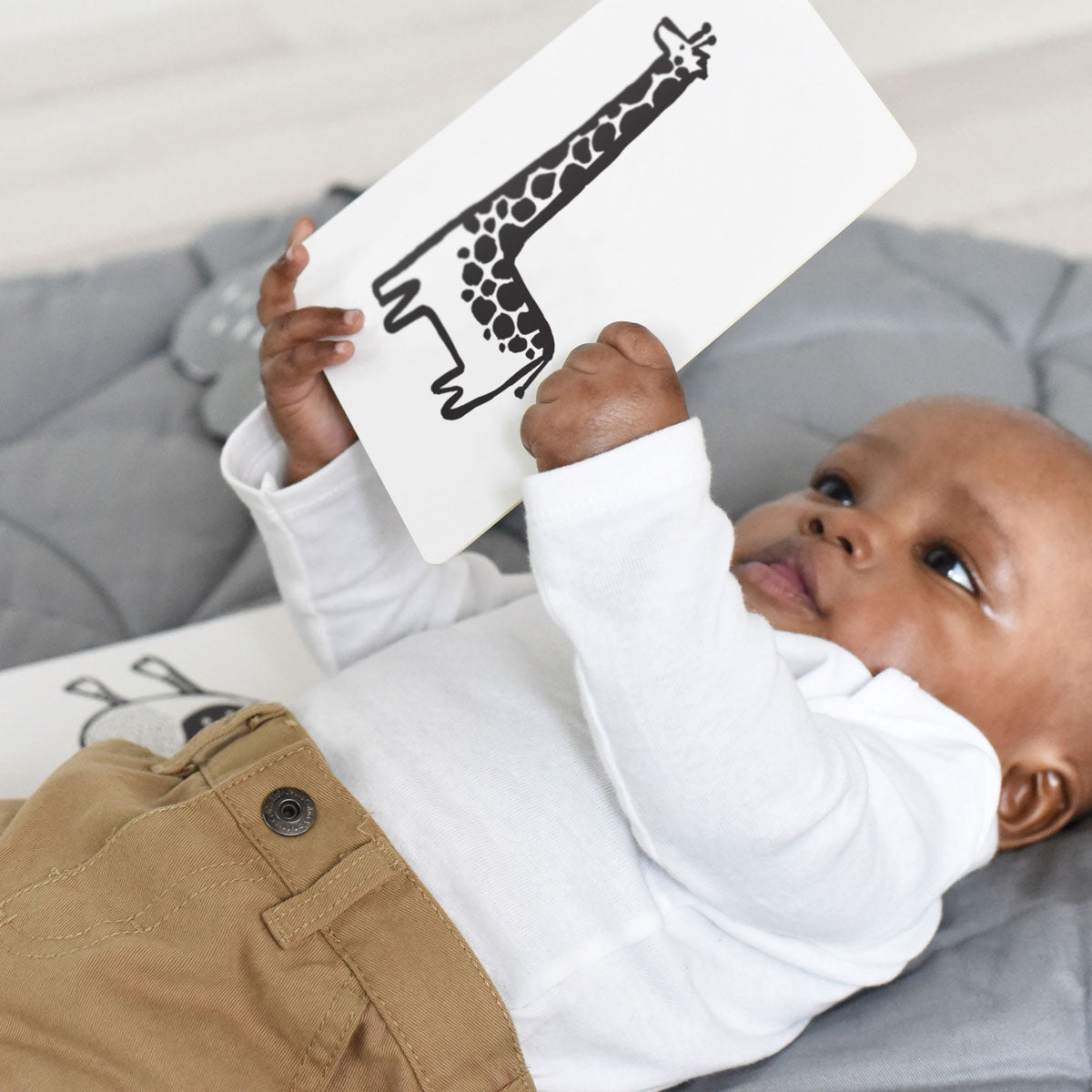 Art Cards for Baby, Original Animals