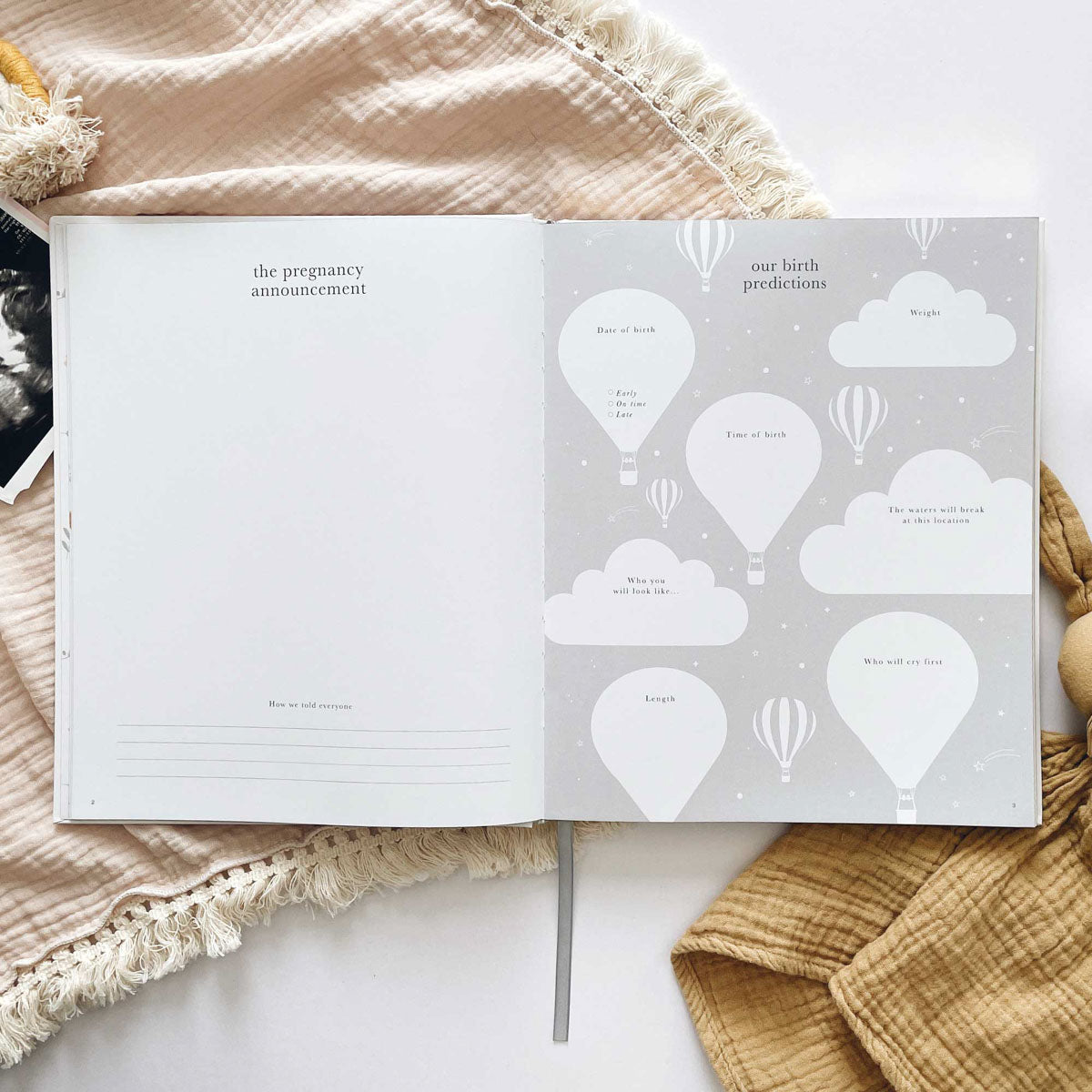 My Pregnancy Journal, Rainbow