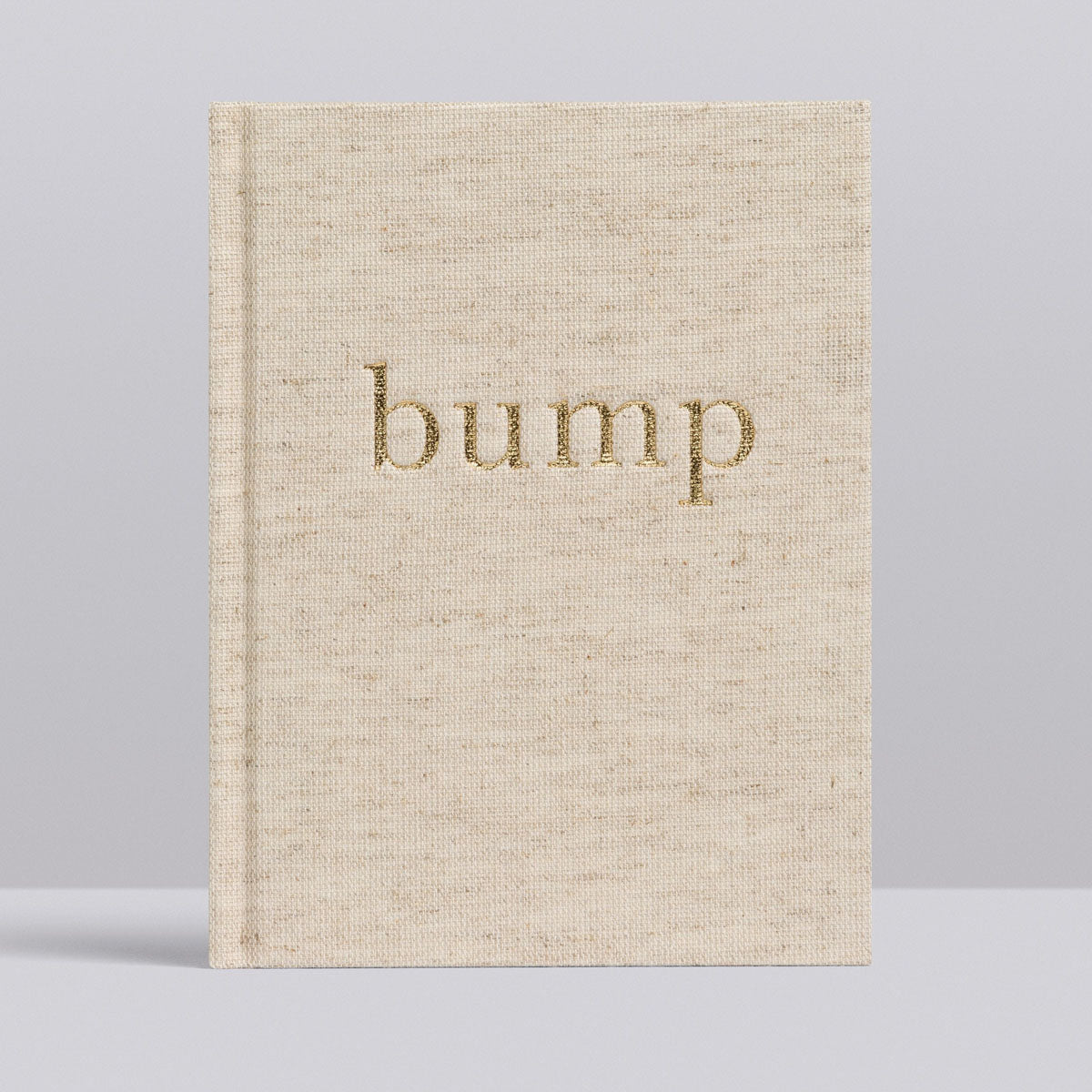 Bump, A Pregnancy Story