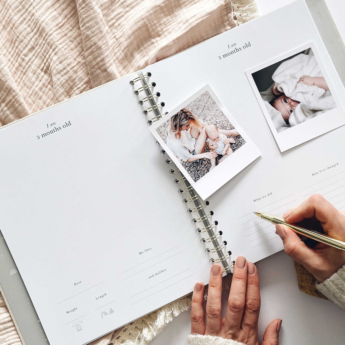 My Baby Book, Safari