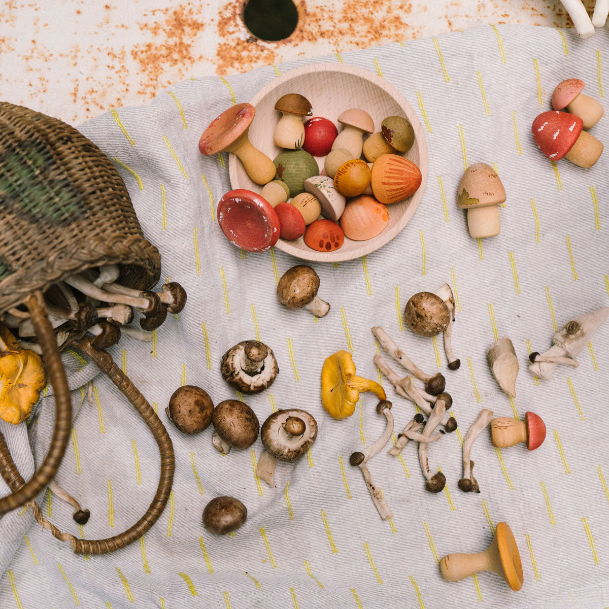 Grapat Mushroom Grove