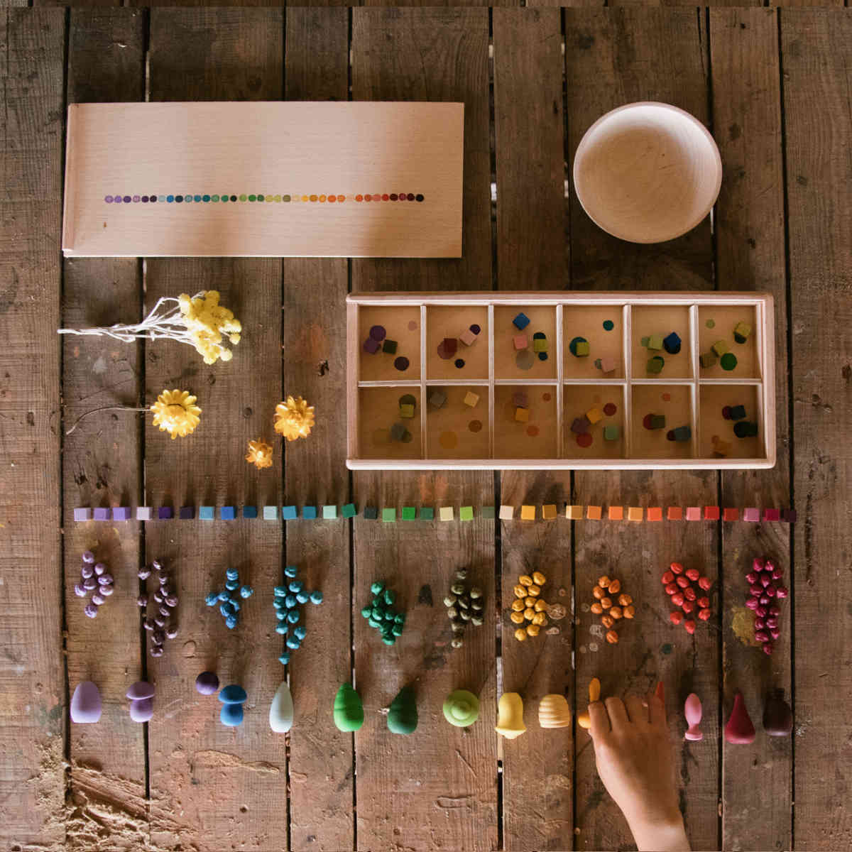 Grapat Mis and Match Color Sorting Set