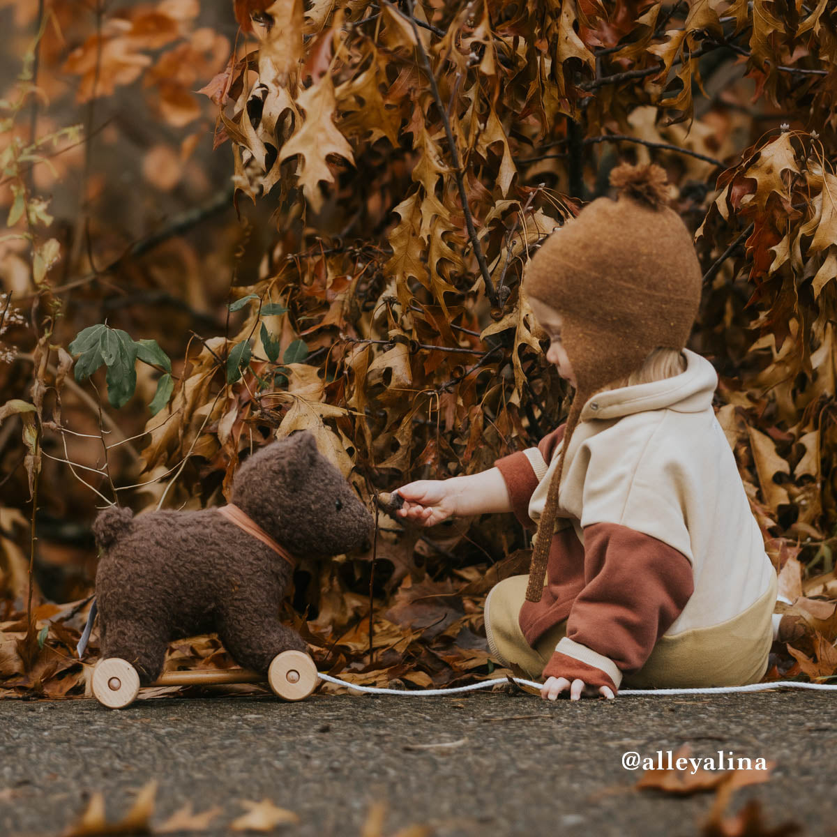 Egmont Pull Along Raoul, the Bear