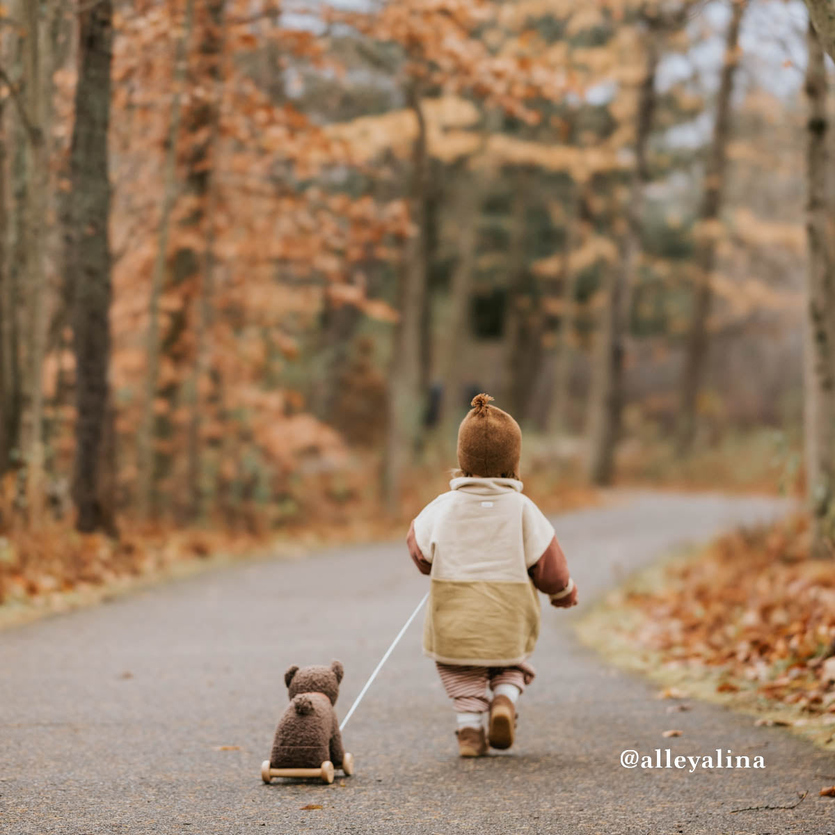 Egmont Pull Along Raoul, the Bear