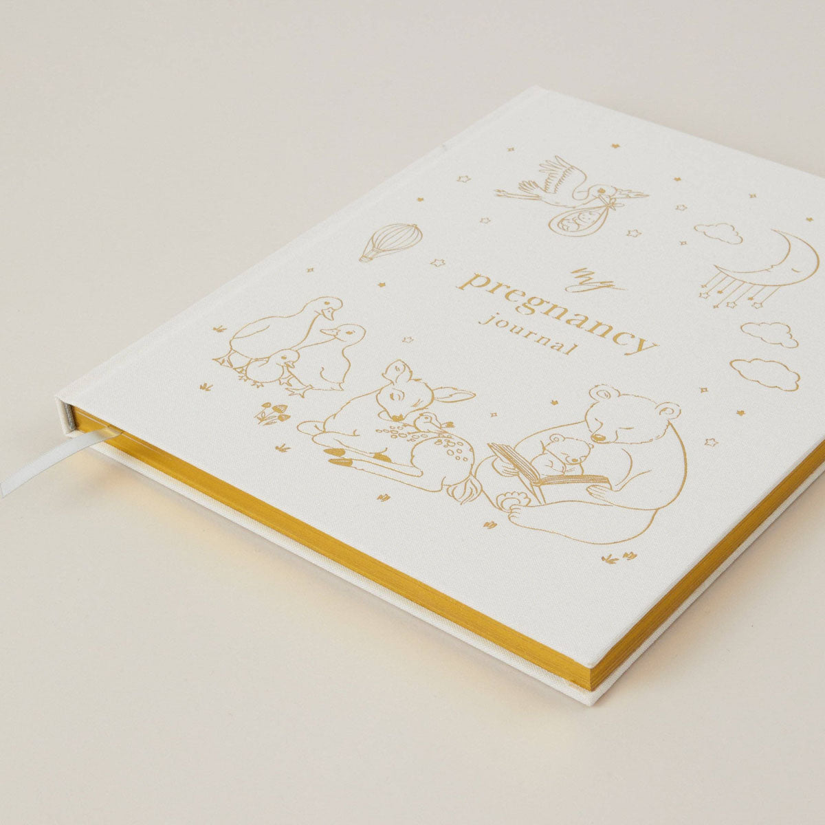 My Pregnancy Journal, Lullaby Baby
