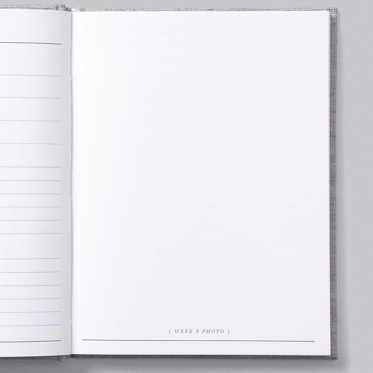 9 Months, Pregnancy Journal