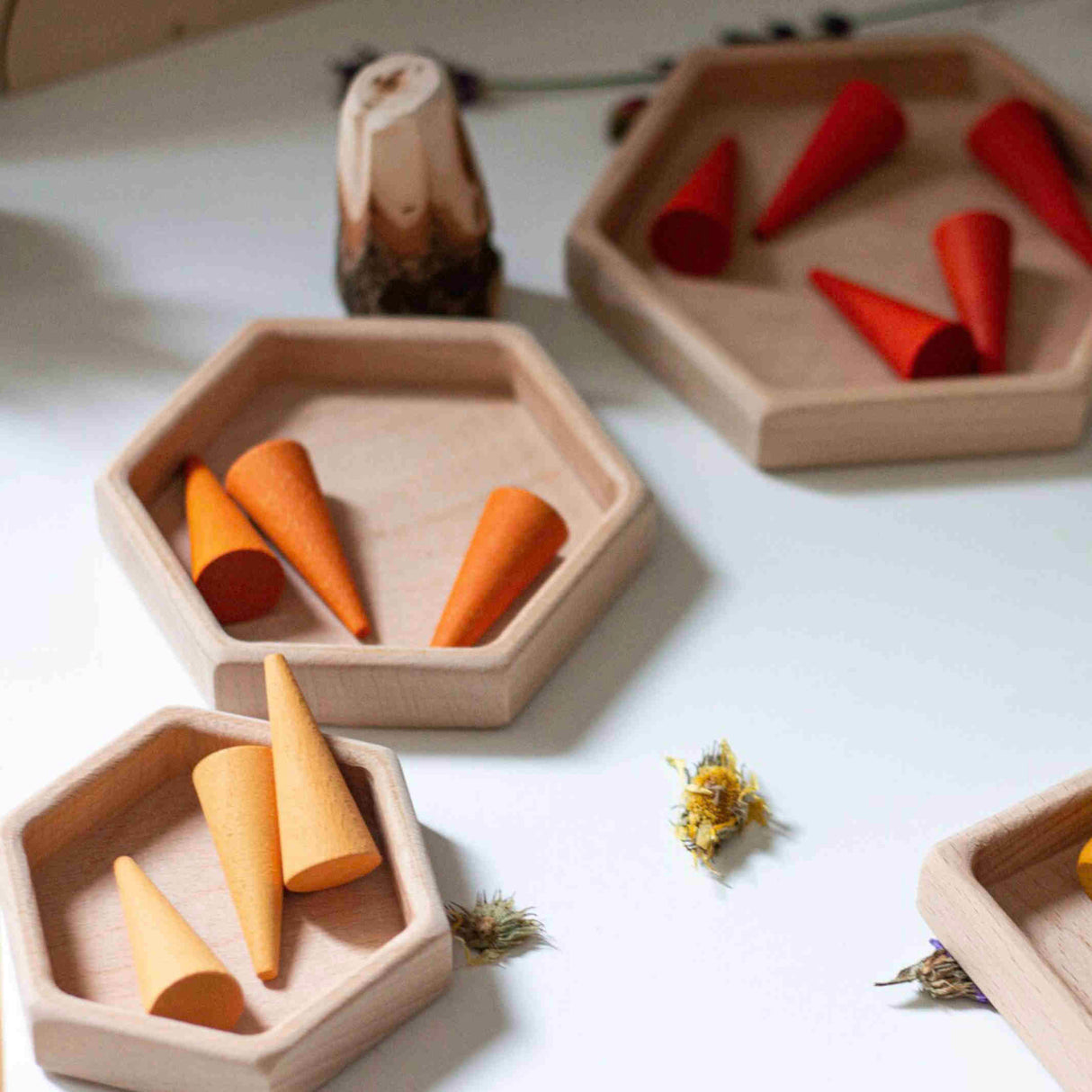 Hexagon Sorting Wooden Trays (Set of 3)