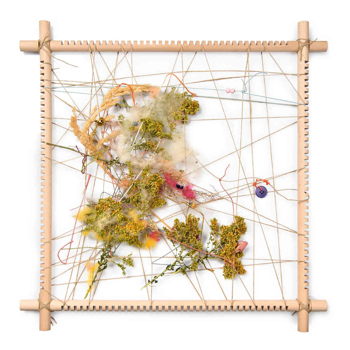 Grapat Memory and Nature Frame