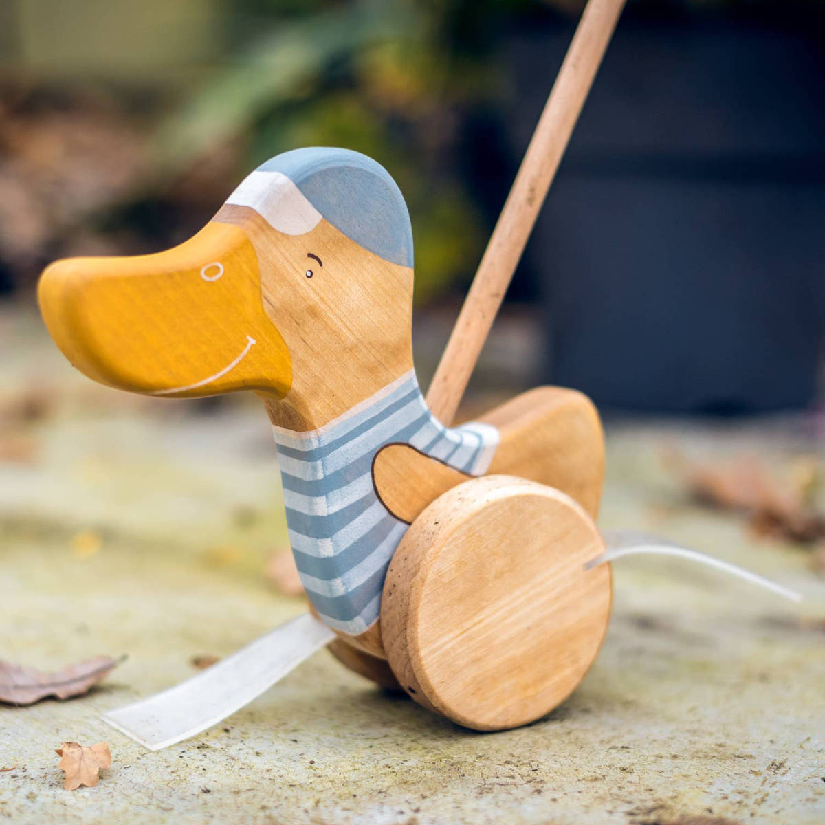 Wooden Push Toy Duck, Blue