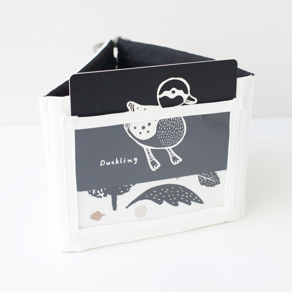 Baby Tummy Time Gallery Gift Set with Flash Cards