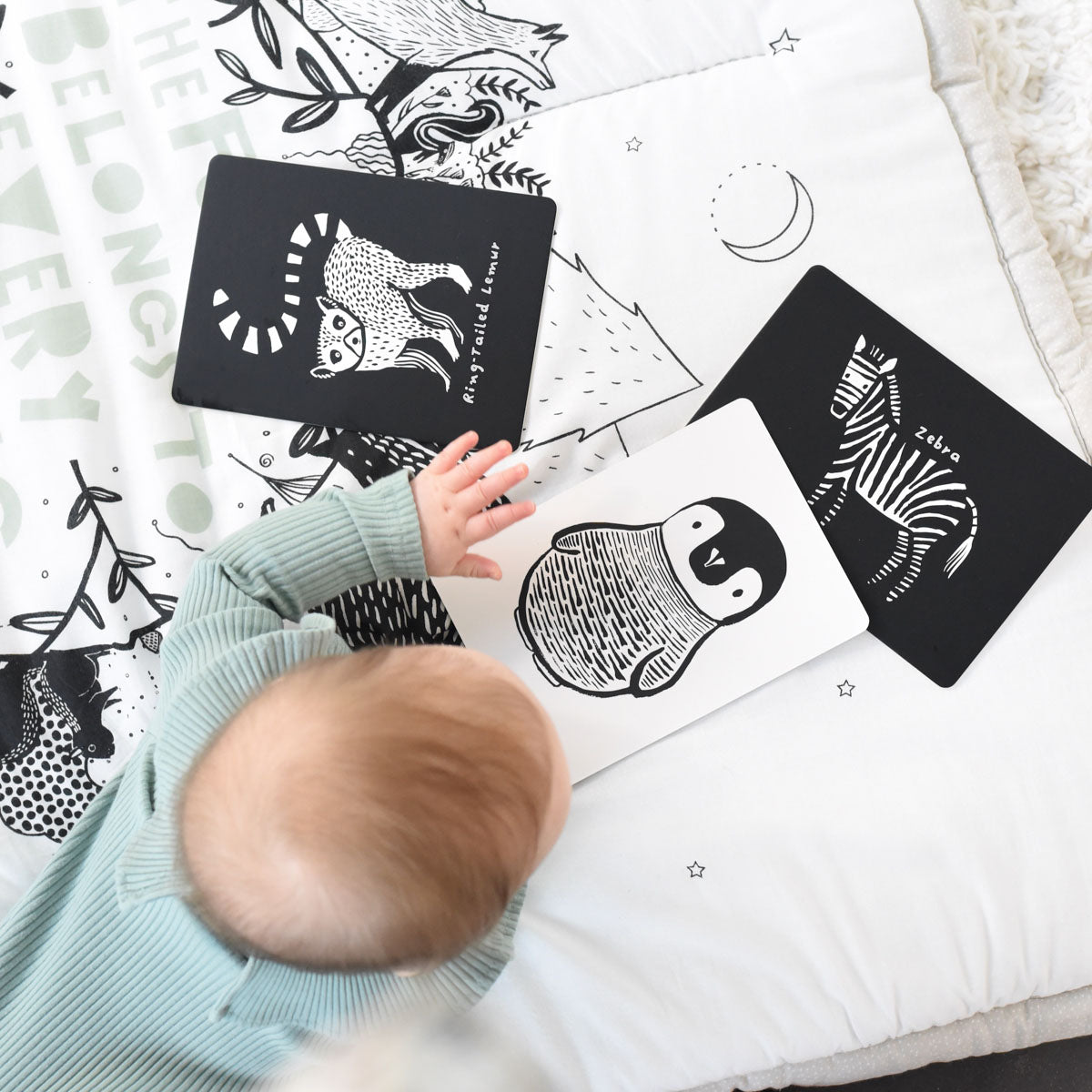 Art Cards for Baby, Black and White Animals