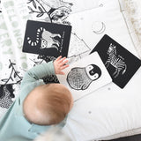 Art Cards for Baby, Black and White Animals