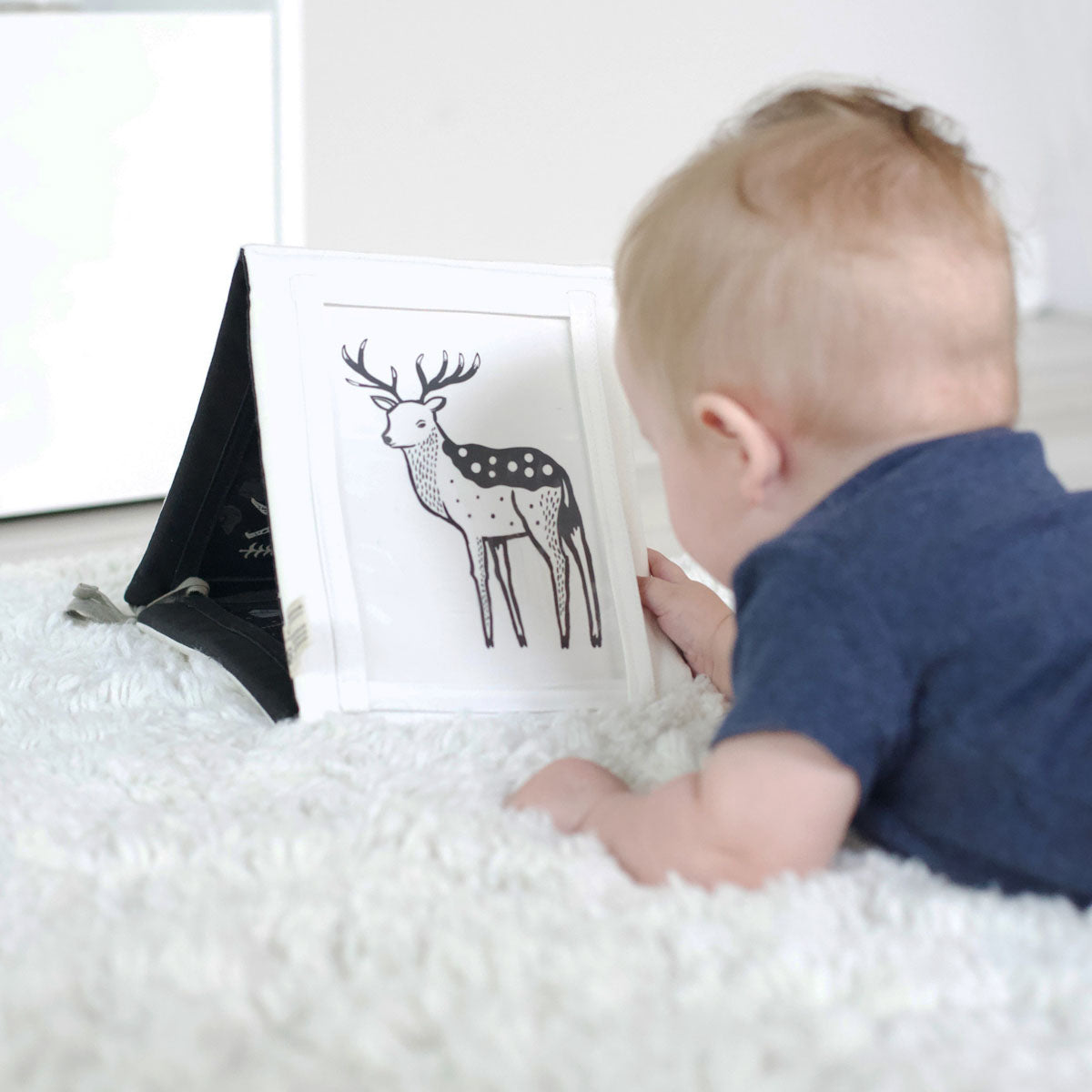 Baby Tummy Time Gallery Gift Set with Flash Cards