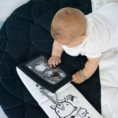 Baby Tummy Time Gallery Gift Set with Flash Cards