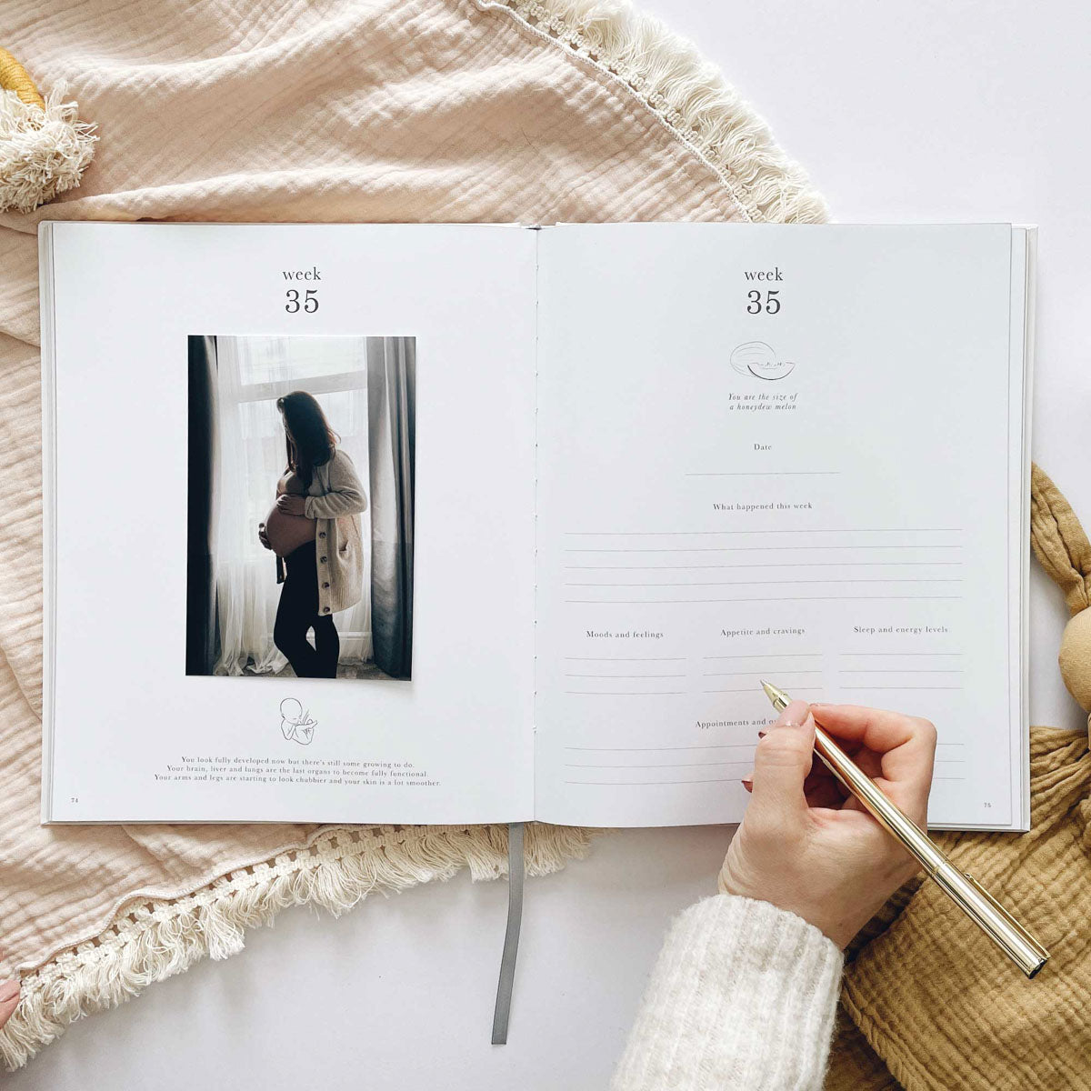 My Pregnancy Journal, Rainbow