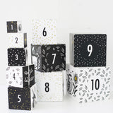 Wee Gallery Nesting Blocks, Woodland Numbers