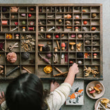 Grapat Mushroom Grove