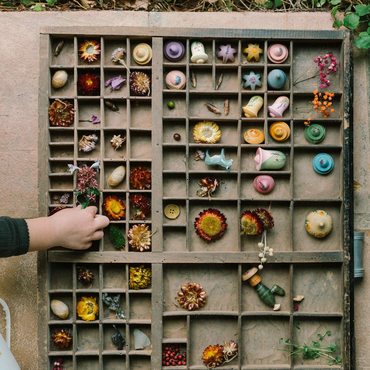 Grapat Flower Meadow