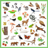 Djeco 160 Stickers, Fauna