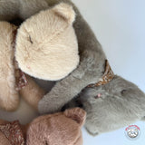 Maileg Plush Kitten  - Original