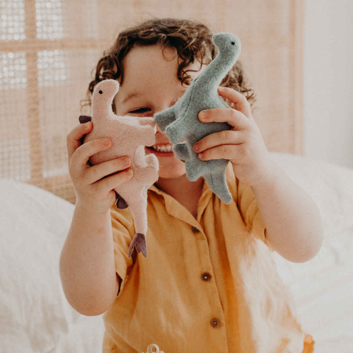 Olli Ella Holdie Dinosaurs Set