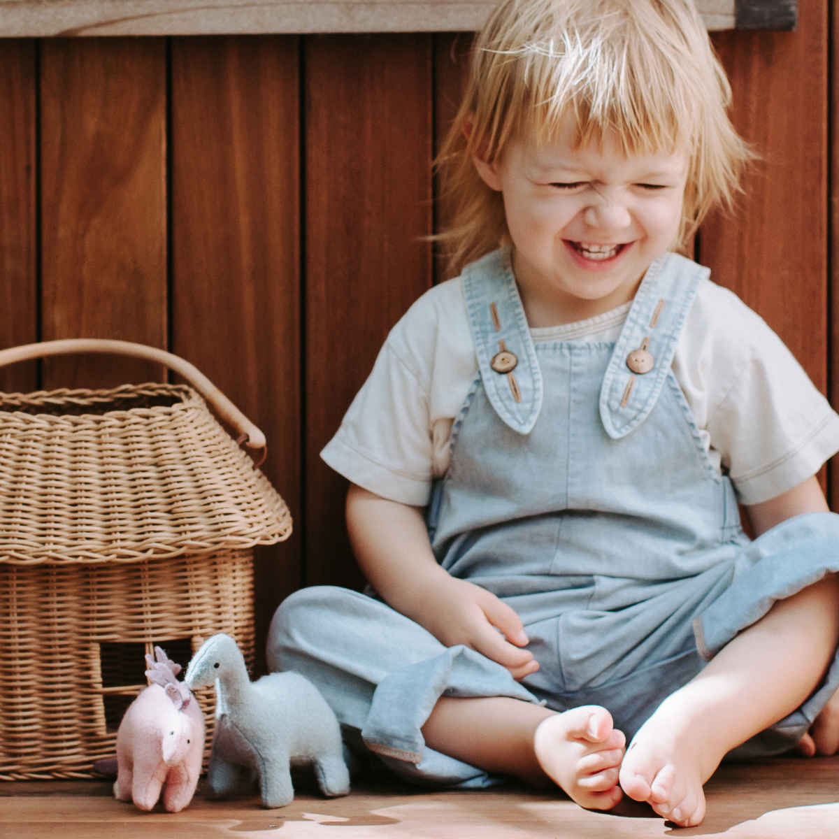 Olli Ella Holdie Dinosaurs Set