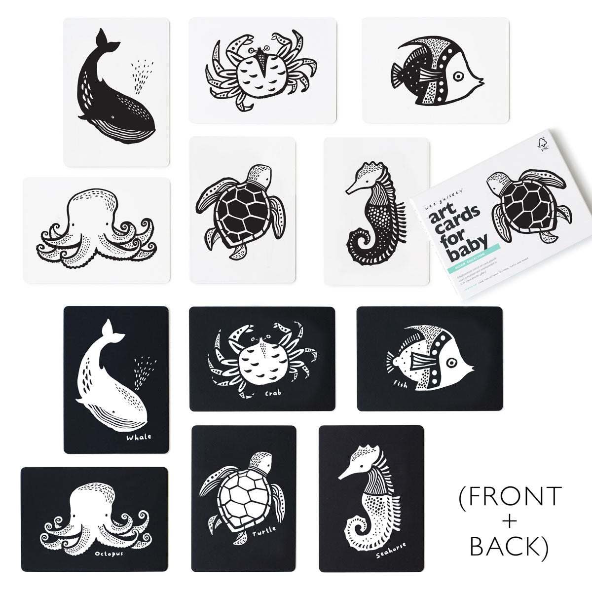 Art Cards for Baby, Ocean Animals