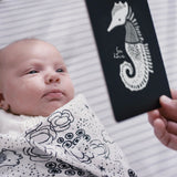 Art Cards for Baby, Ocean Animals