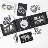 Baby Tummy Time Gallery Gift Set with Flash Cards