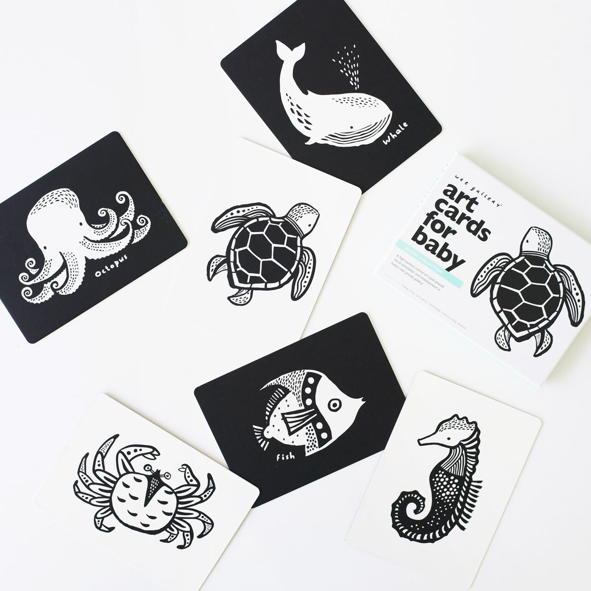 Art Cards for Baby, Ocean Animals