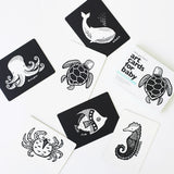 Art Cards for Baby, Ocean Animals