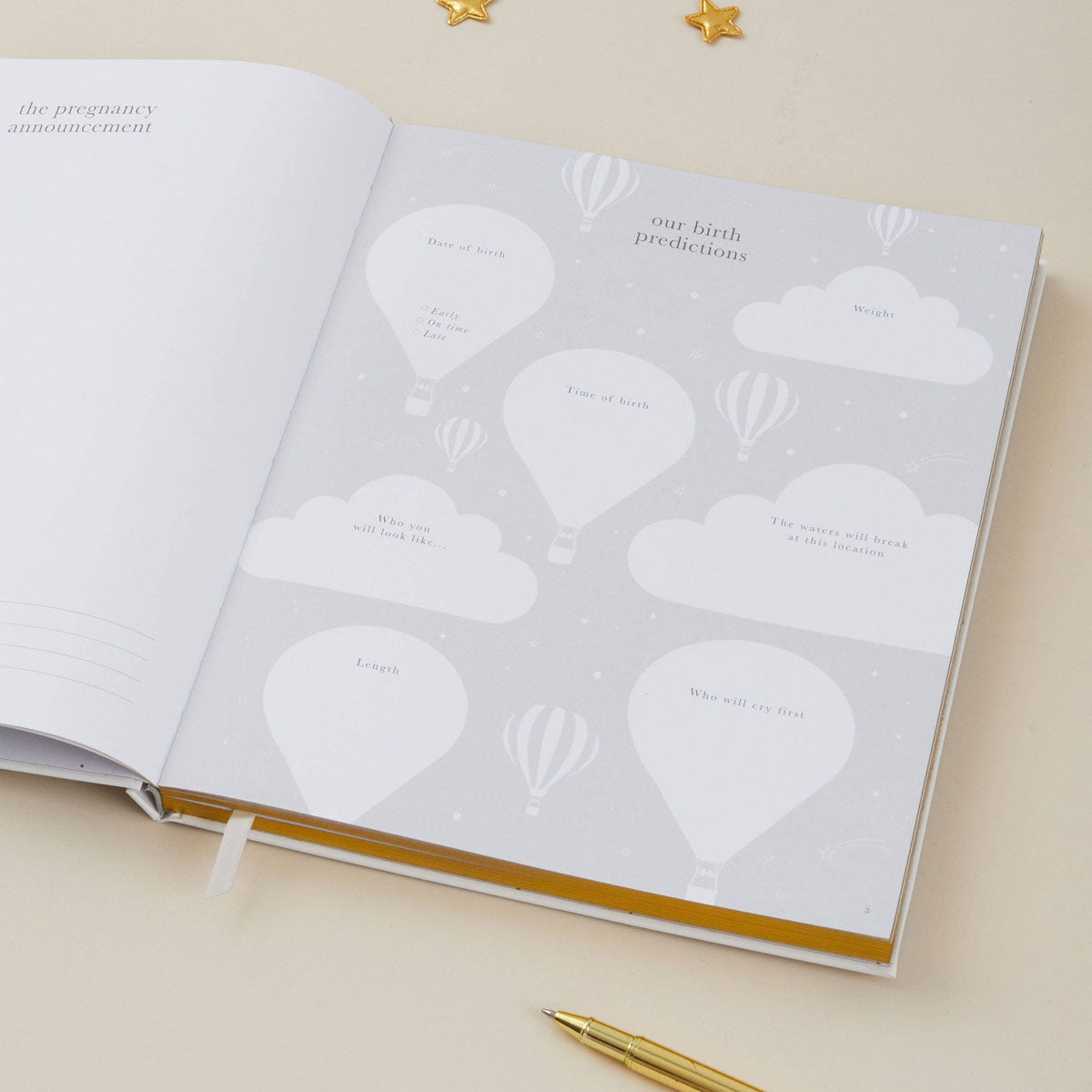 My Pregnancy Journal, Lullaby Baby