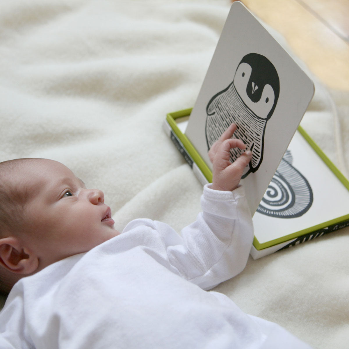 Art Cards for Baby, Black and White Animals