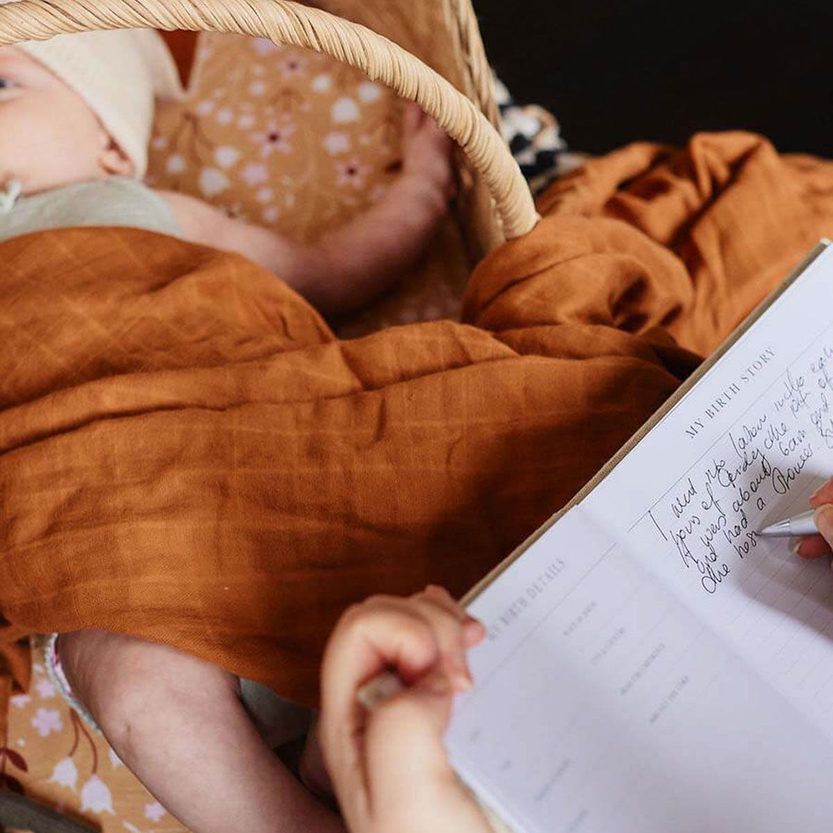 BABYJournal. Birth to Five Years