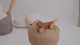 Handcrafted Wooden Red Sausage Dog Pull Toy