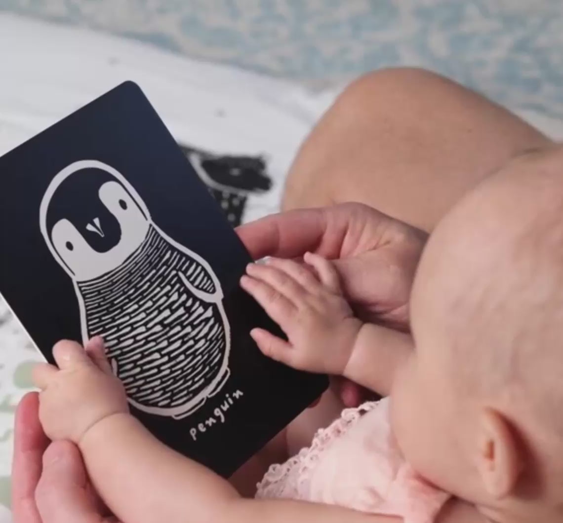 Art Cards for Baby, Jungle Animals