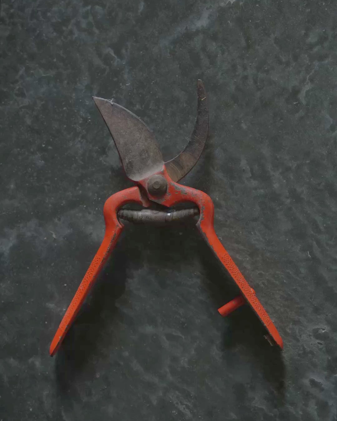 Grapat Wooden Veggies