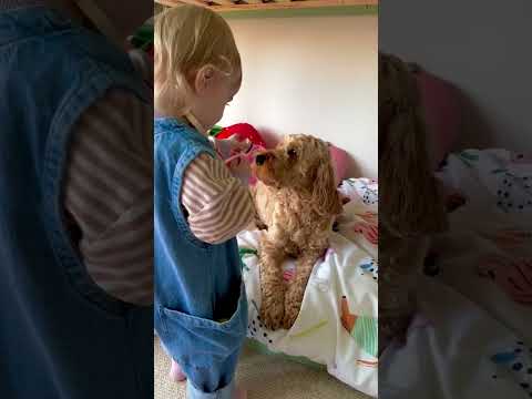 Le Toy Van Toy Animal Care Set