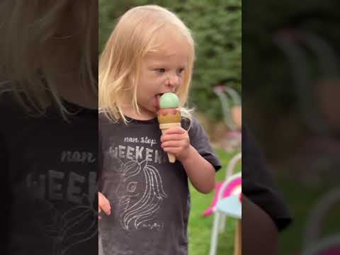 Le Toy Van Carlo's Gelato