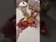 Le Toy Van Fruit & Smoothie Blender Set