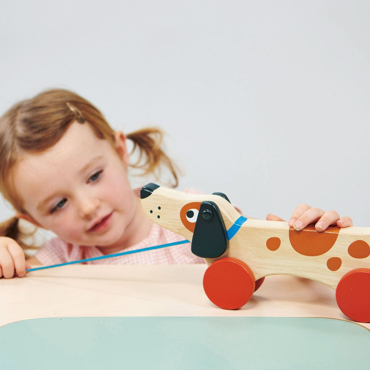 Pull along Wooden Puppy