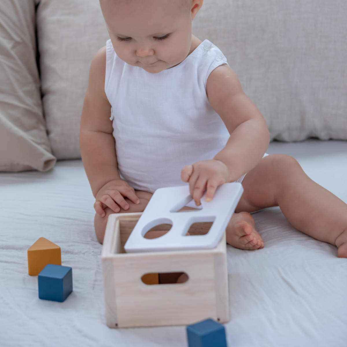 Plan toys shape sorter store