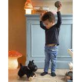 Egmont Pull Along Walter